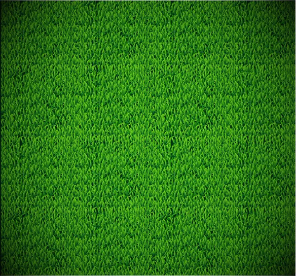 Football grass texture — Stock Vector