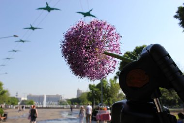 Soğan çiçekli Steadicam