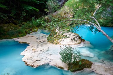 Urederra Nehri bahar