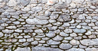 Autunm Arenteiro Nehri