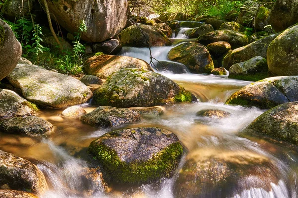 Madriu river, Andorra — Stock Photo, Image