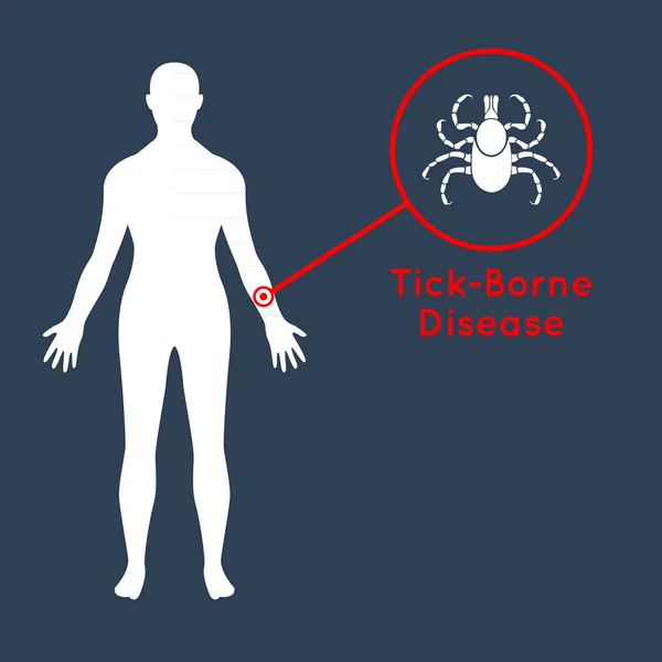 Carrapato doenças transmitidas vetor ícone logotipo design —  Vetores de Stock