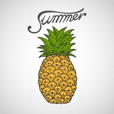 Ananas vektör çizim tasarım