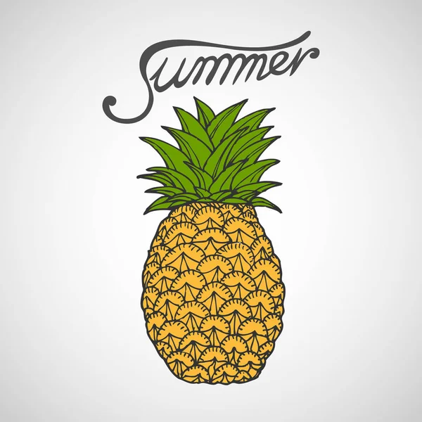 Ananas disegno illustrazione vettoriale — Vettoriale Stock