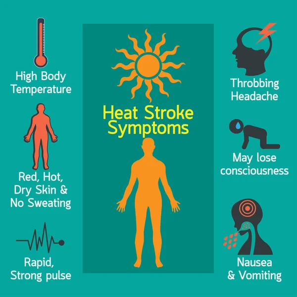 일사병 infographic 벡터 일러스트 레이 션 — 스톡 벡터