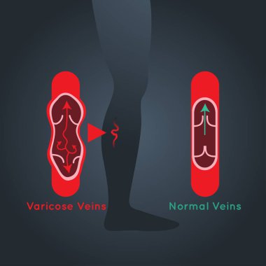 Varis logo simge tasarlamak vektör
