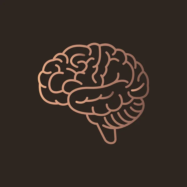 Brain logo icon design. Vector illustration. — Stock Vector