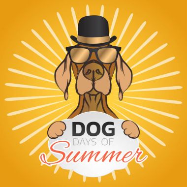 Köpek gün yaz logo simge tasarım, vektör çizim