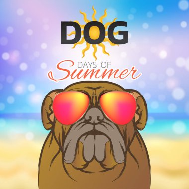 Köpek gün yaz logo simge tasarım, vektör çizim