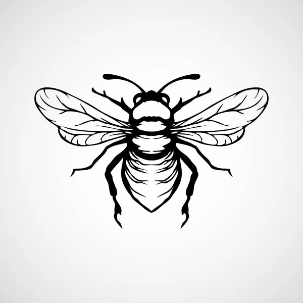 Illustration vectorielle de la gravure de l'abeille sur fond blanc — Image vectorielle