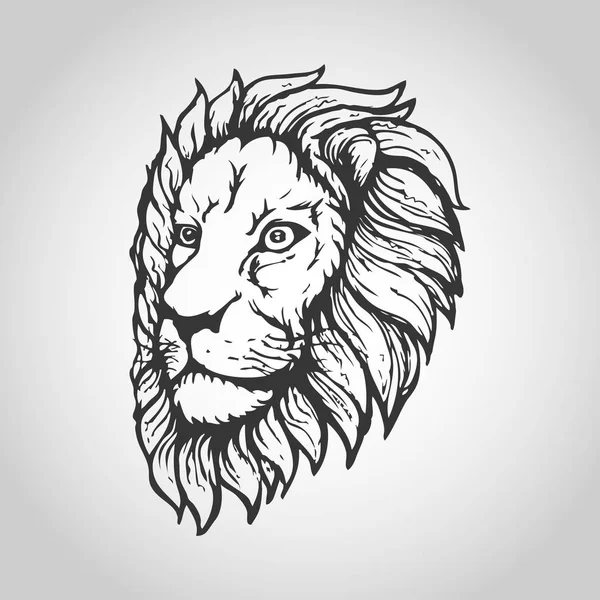 Löwe isoliert auf weißem Hintergrund, Vektorillustration. — Stockvektor