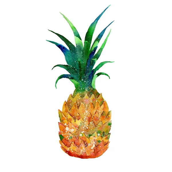 Illustration aquarelle de l'ananas — Photo