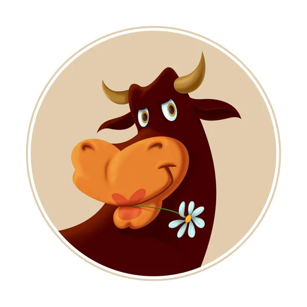 Cow eating daisy — Stock Photo, Image