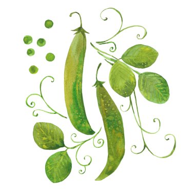 Suluboya yeşil bezelye