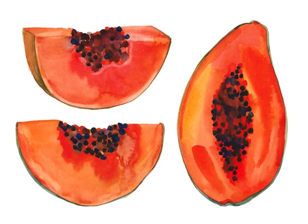 Skivor av papaya — Stockfoto