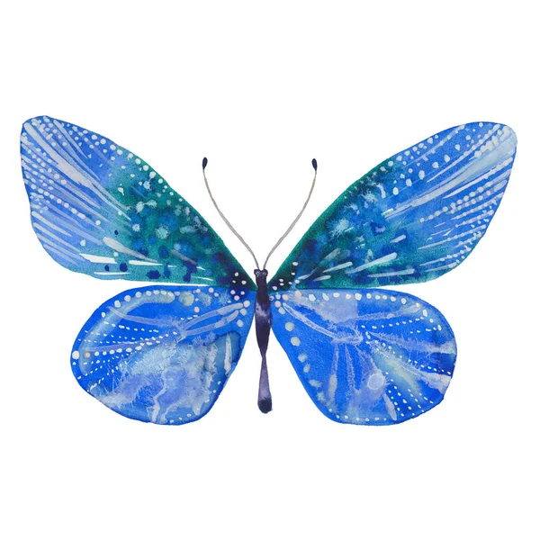 Akvarell blå fjäril — Stockfoto