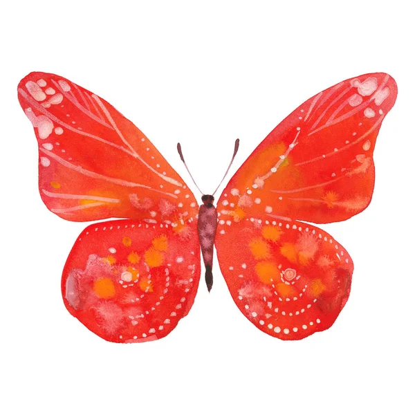 Acuarela mariposa roja — Foto de Stock