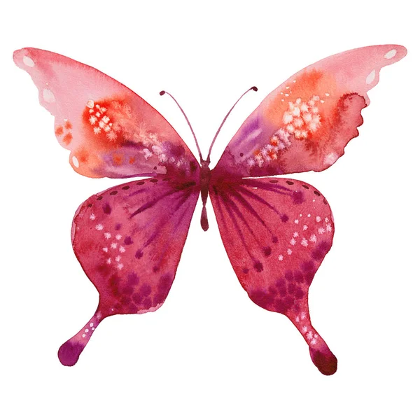 Aquarel afbeelding van vlinder — Stockfoto