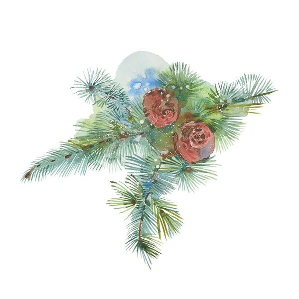 Watercolor spruce branch — Stock Photo, Image