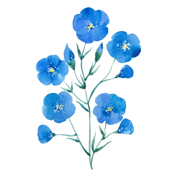Watercolor flax flower — Stock Photo, Image