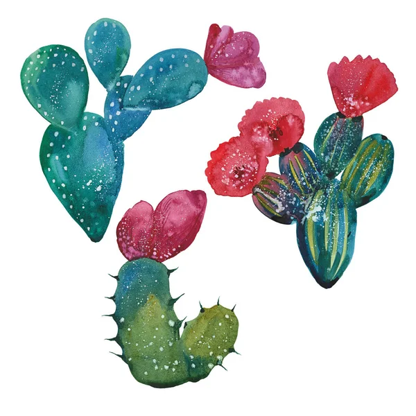 Akwarela kaktus zestaw — Zdjęcie stockowe