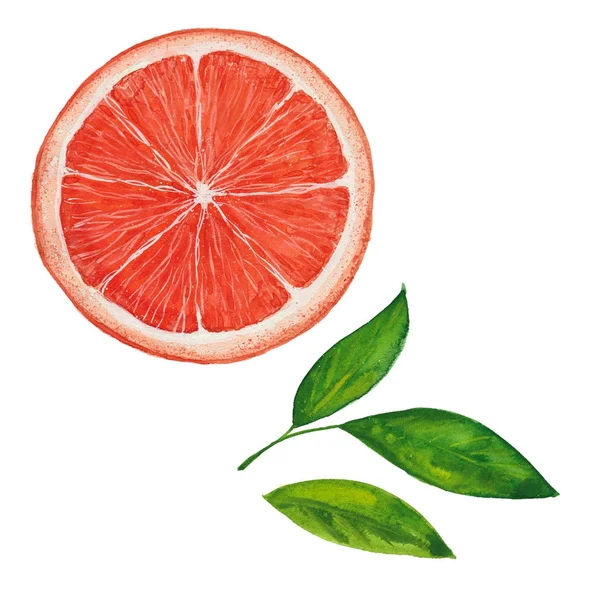 Akvarell orange avsnitt — Stockfoto