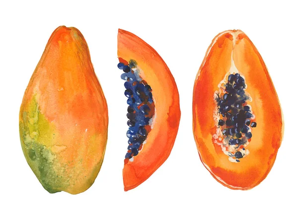 Uppsättning av papaya — Stockfoto