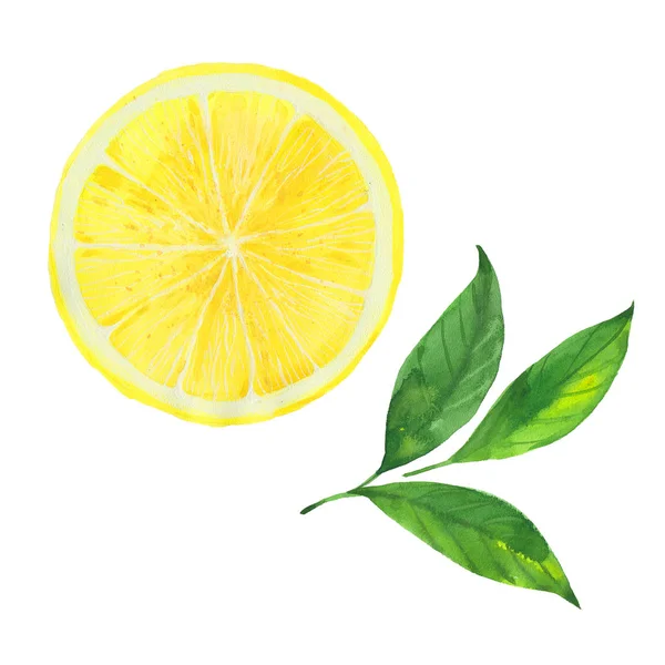 Акварельный лимон с листьями — стоковое фото
