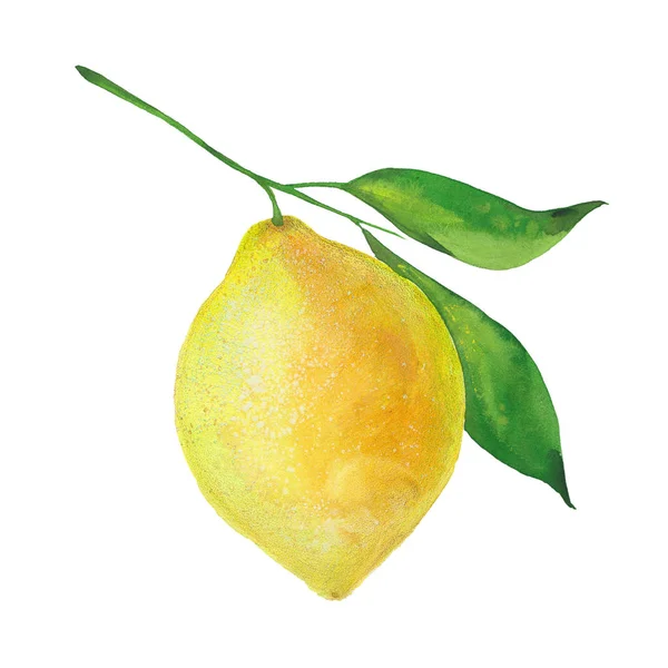 Citron med blad — Stockfoto