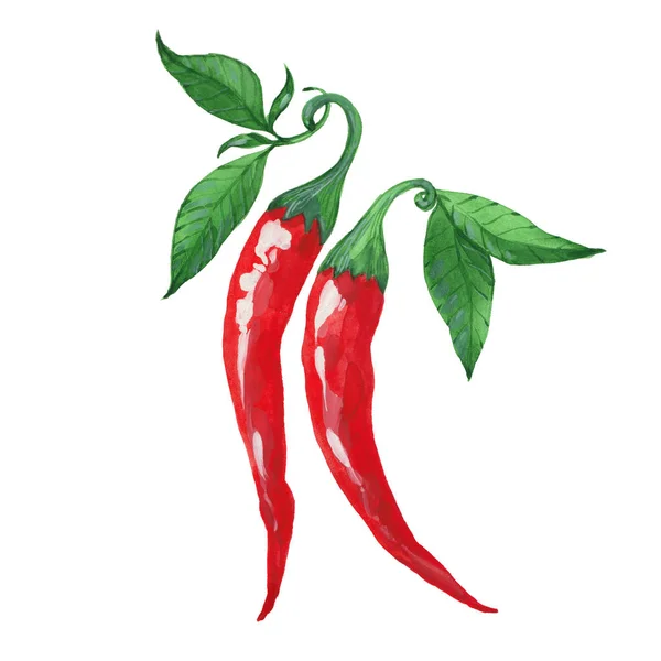 Dva chili peppers — Stock fotografie