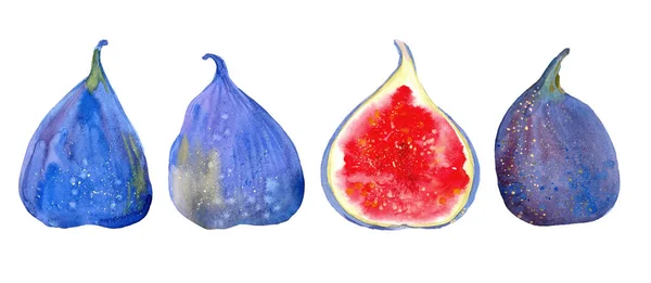 Four juicy figs — Stock Photo, Image
