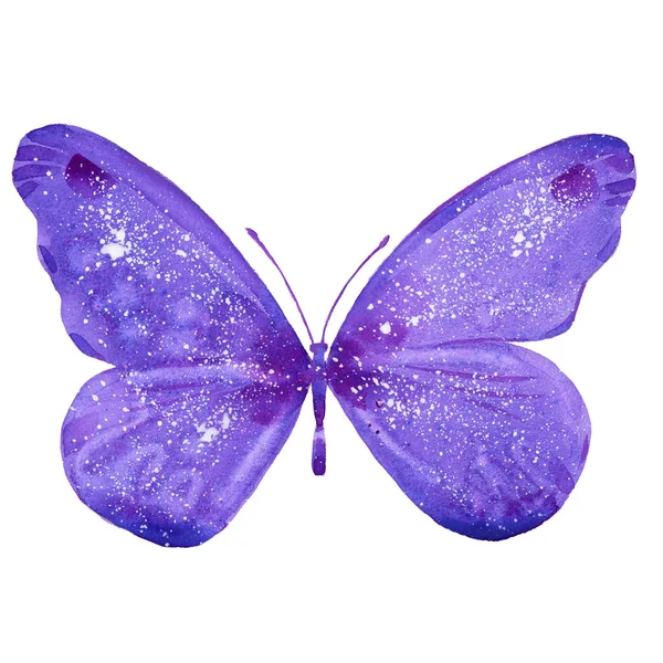 Aquarela borboleta roxa — Fotografia de Stock