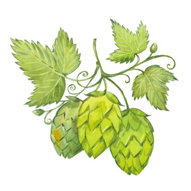 suluboya zıplama konileri