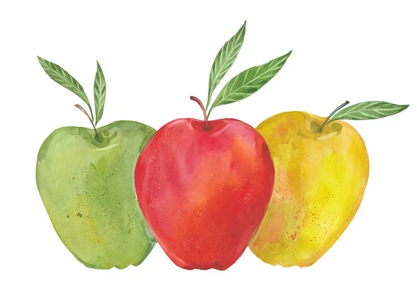 Зелені, червоні та жовті яблука — стокове фото