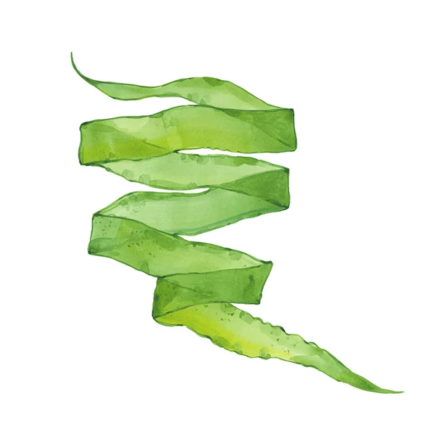 Akvarell gröna alger — Stockfoto