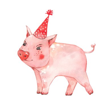 Parti şapkalı domuz.