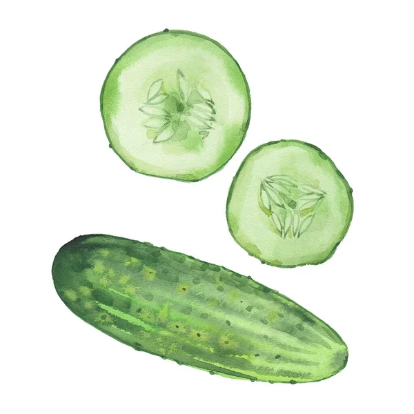 Cucumber on white background — Stock Photo, Image