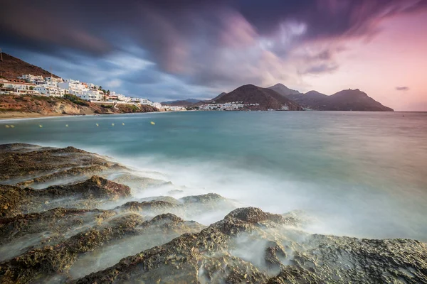 Vista Panorámica Atardecer Las Siluetas Conjunto Árboles Pita Contra Luz — Foto de Stock