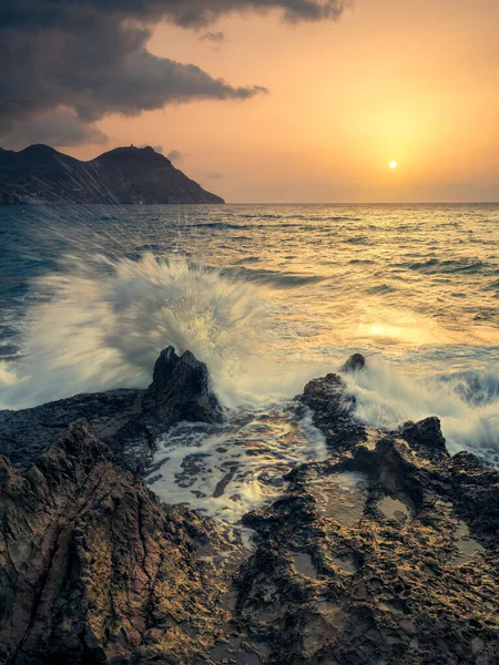 Vista Panorámica Atardecer Las Siluetas Conjunto Árboles Pita Contra Luz — Foto de Stock