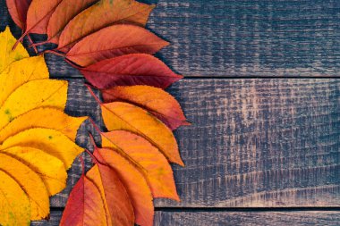 yaprak zemin ahşap bir masa üzerine