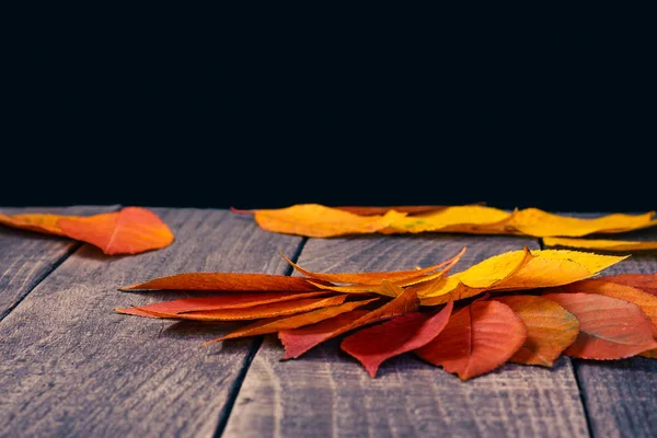 Leaf background on a wooden table Stock Image