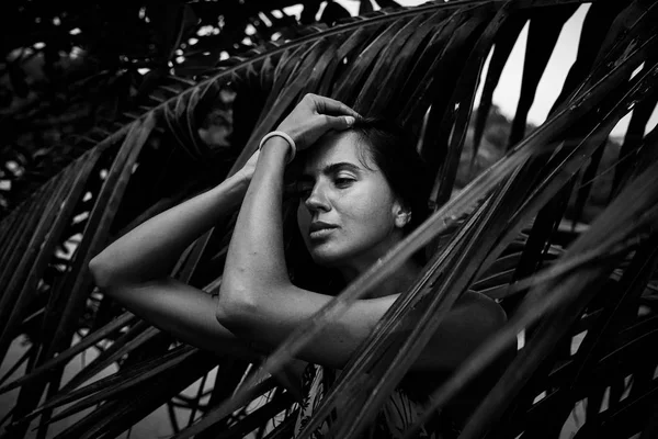 美しいセクシーなブルネットかわいい女性夏熱帯のヤシの木 p — ストック写真