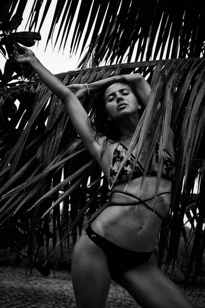 Krásné sexy bruneta žena v létě tropical palm tree p — Stock fotografie