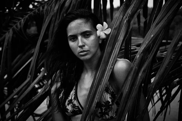 Mooie sexy mooie brunette vrouw zomer tropische palm tree p — Stockfoto