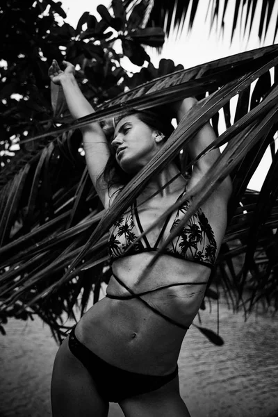 Güzel seksi güzel esmer kadın yaz tropikal palmiye ağacı p — Stok fotoğraf