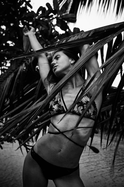 Krásné sexy bruneta žena v létě tropical palm tree p — Stock fotografie