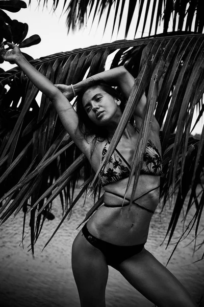 Krásné sexy bruneta žena v létě tropical palm tree p — Stock fotografie