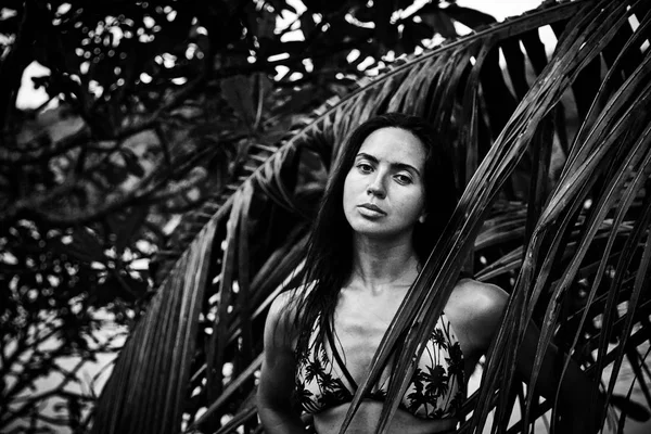 Mooie sexy mooie brunette vrouw zomer tropische palm tree p — Stockfoto