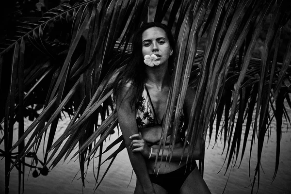 Güzel seksi güzel esmer kadın yaz tropikal palmiye ağacı p — Stok fotoğraf