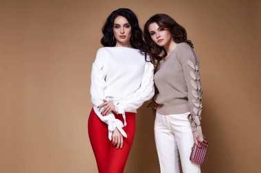 İki seksi glamour moda modeli iş kadın uzun kıvırcık brunett